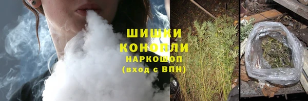 дурь Карпинск