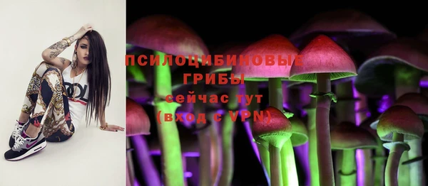 прущая мука Касимов