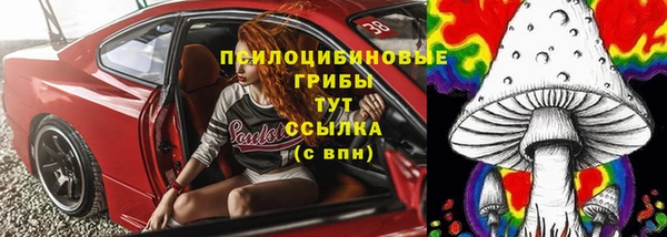гидропоника Карталы