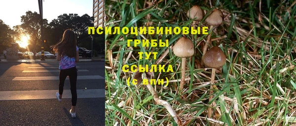 прущая мука Касимов