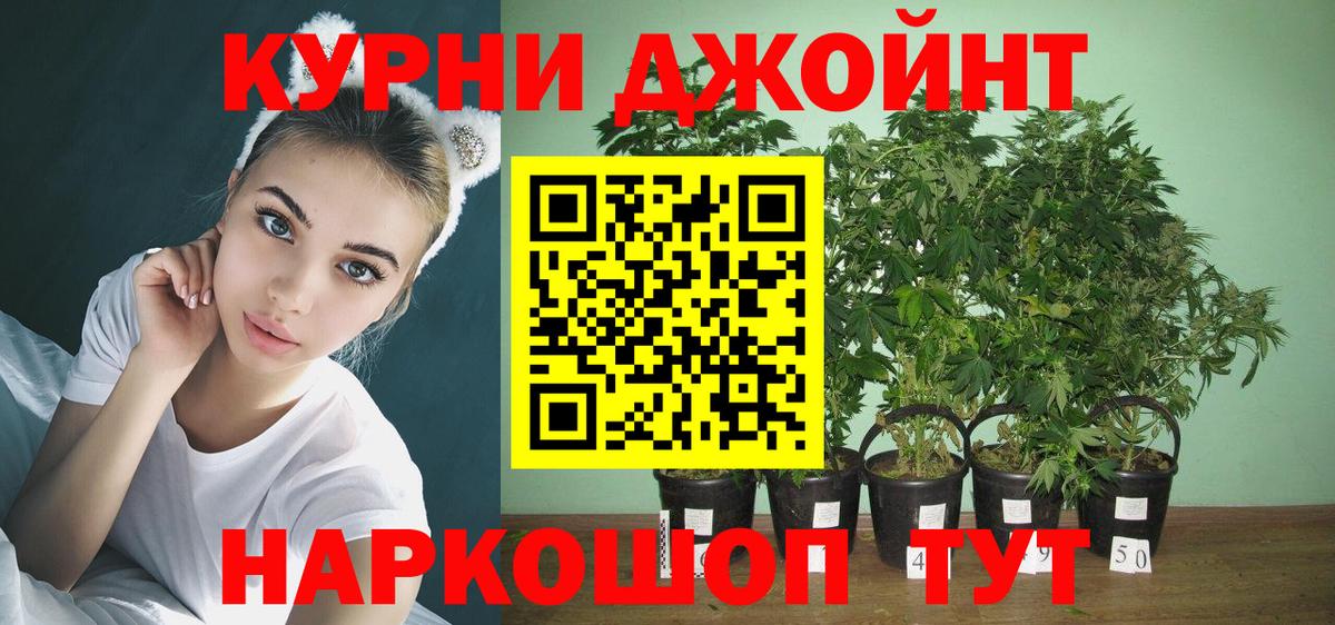 Алапаевск  Шишки марихуана ГИДРОПОН  Шишки марихуана ГИДРОПОН  Шишки марихуана сатива  Вход с VPN 